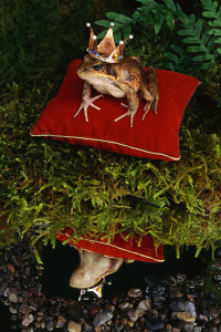 Is change good? Depends on whether you're a frog or a prince. 