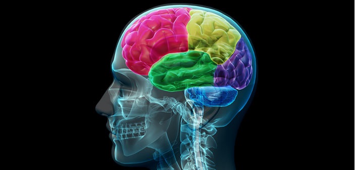 A Smart Girl Like You in a Job Like This? Matching Cognitive Ability
