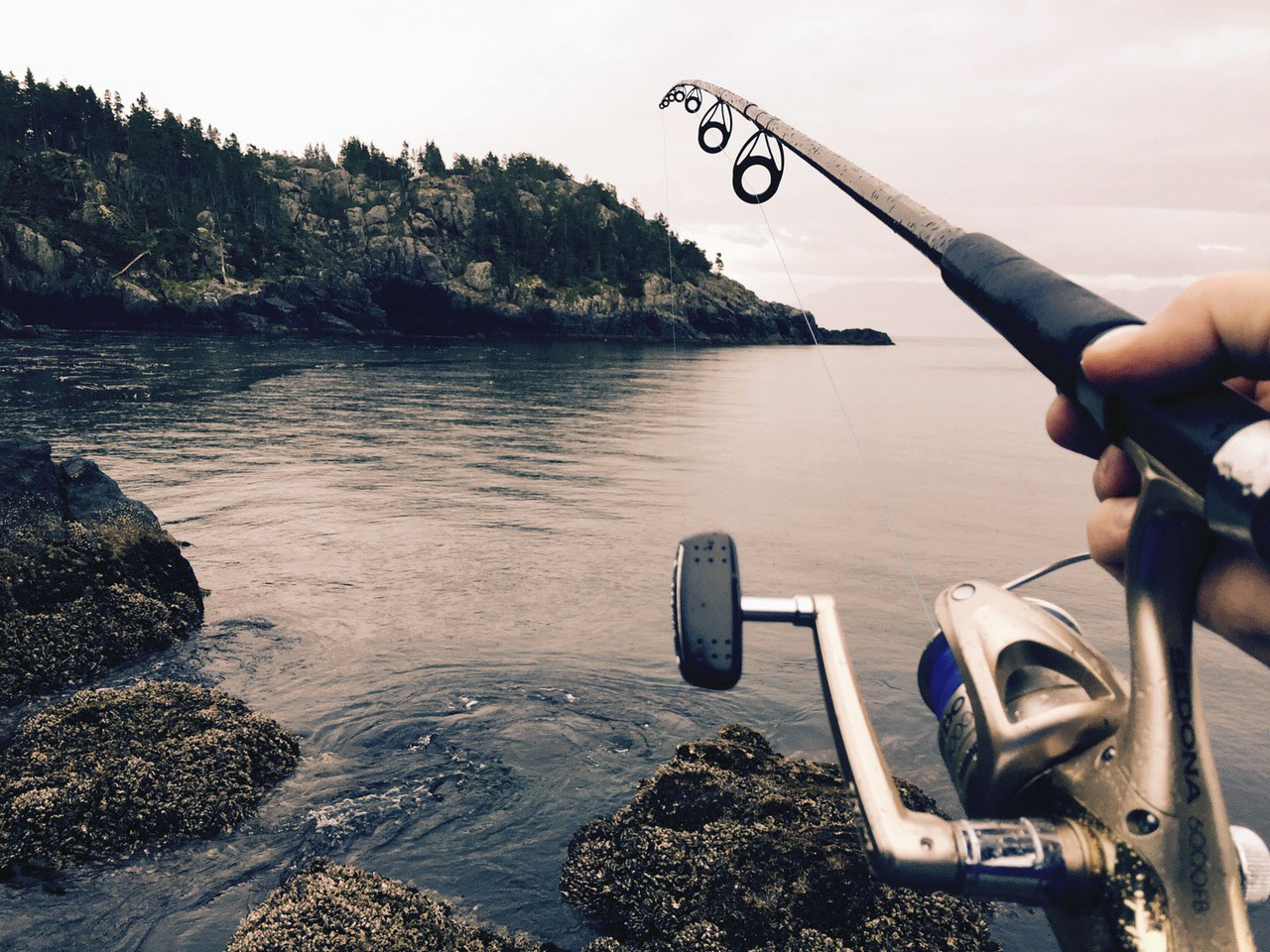 If You Want to Catch a Big Fish, Minnow Bait Won’t Work