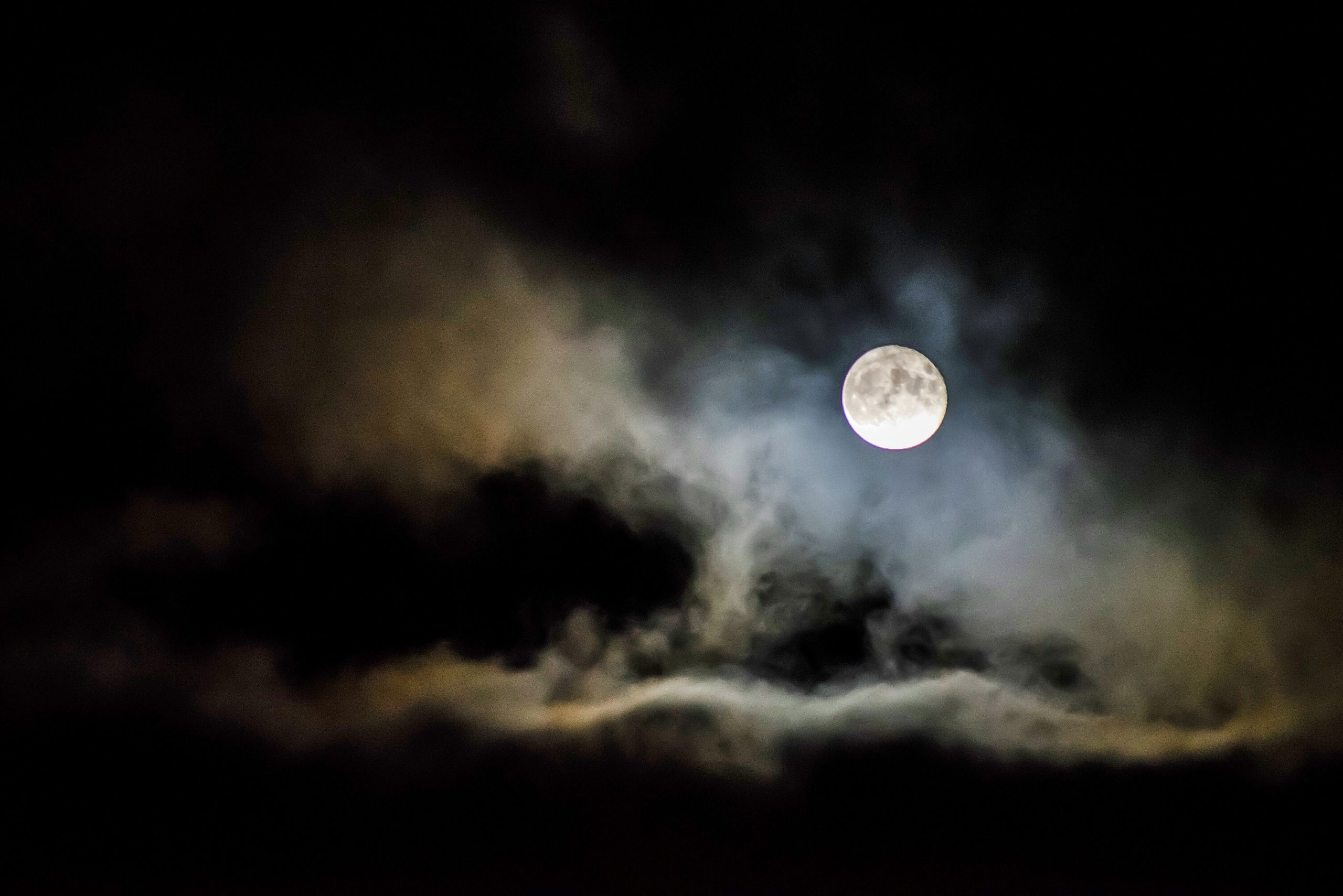 Don’t Spook Your Colleagues: Employee Behavior During COVID-19